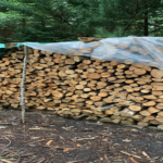 Bois de chauffage Châtaigner