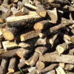 Bois de chauffage , essence chêne
